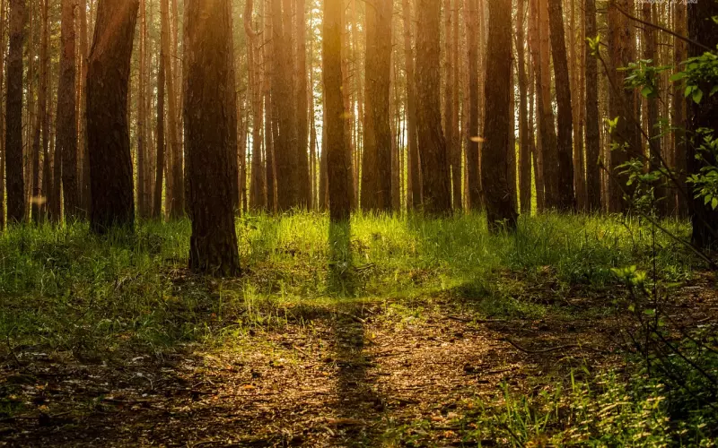 qq被喜欢的人删除了怎么挽回