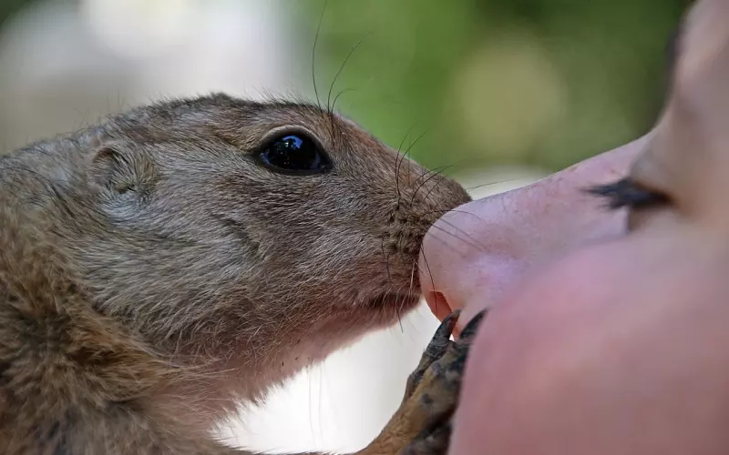 如何挽回与老公之间的情感隔阂？