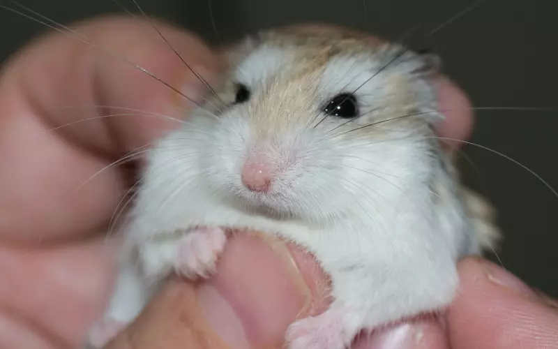 伤了爱你的人心要怎样挽回