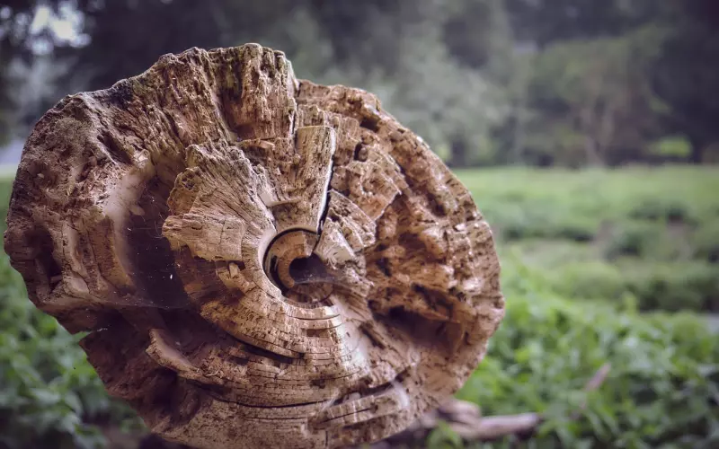 如何挽回死缠烂打的形象