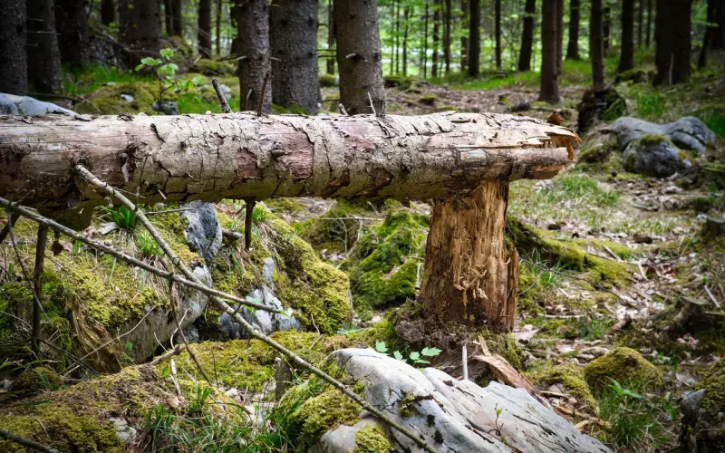 如何挽回死缠烂打的形象