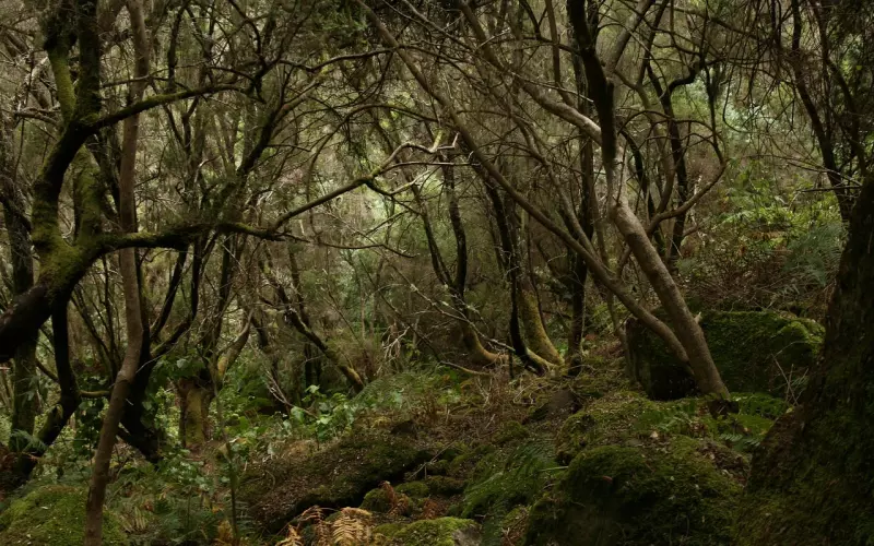 如何挽回你们之间的亲密关系？