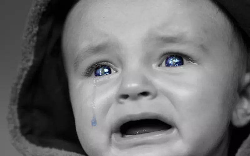 不珍惜失去怎么挽回感情