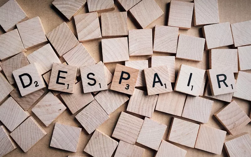 不珍惜失去怎么挽回感情