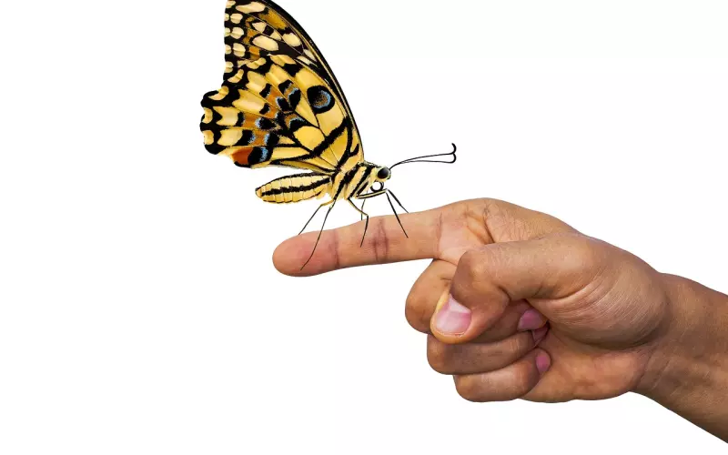 冷静期怎么挽回感情：冷静期要不要主动联系，不联系也能挽回男友（上） ... ...