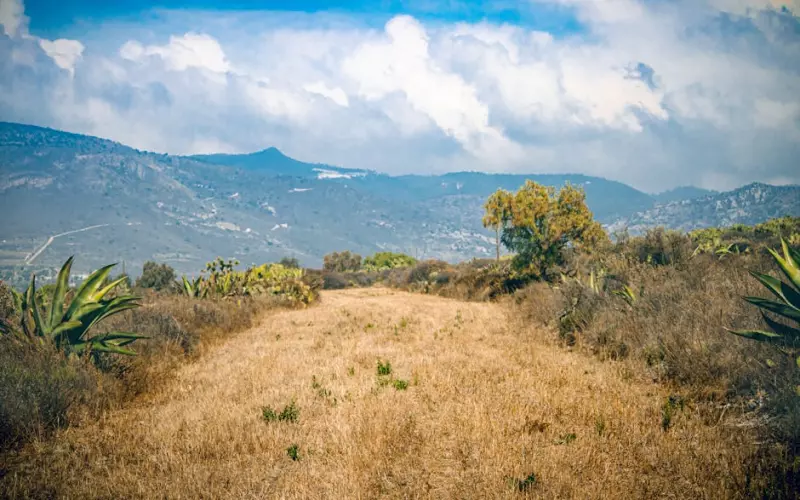 电视剧婆媳矛盾导致离婚如何挽回(因为婆媳关系老婆闹离婚怎么挽回)