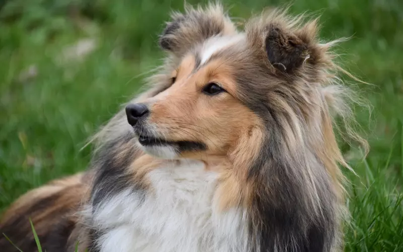 如何通过一条短信逆转形势抱得美人归