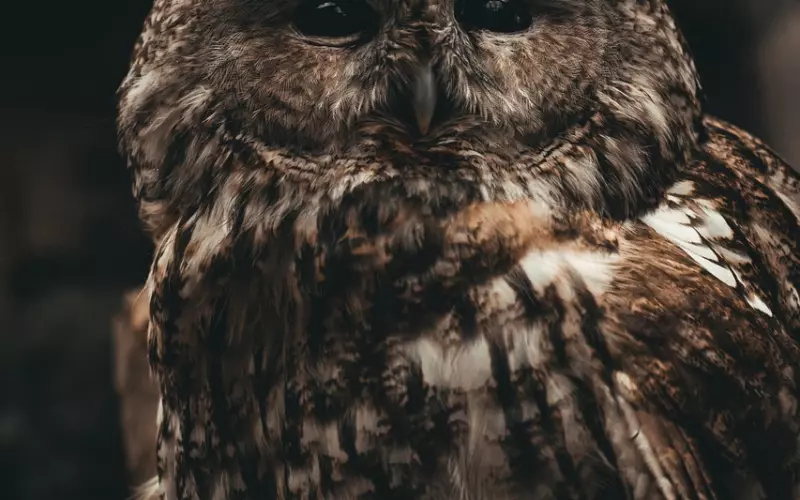 如何挽回破碎的婚姻呢？三大挽回老公最明智的方法