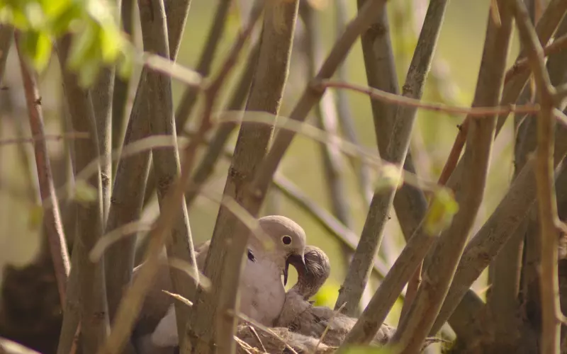 长跑多年的爱情该如何挽回