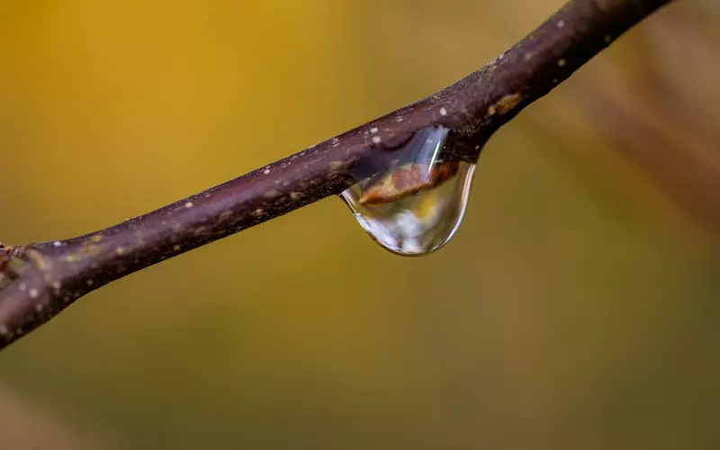 男人开始厌烦时怎样挽回