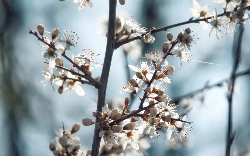 男人开始厌烦时怎样挽回