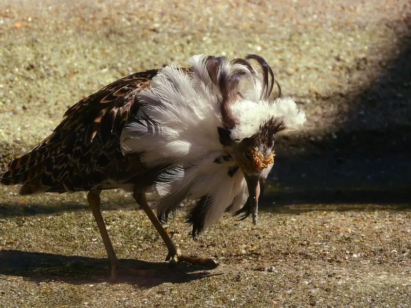 如何挽回婚姻？做到这三点，挽回有婚外情的老公