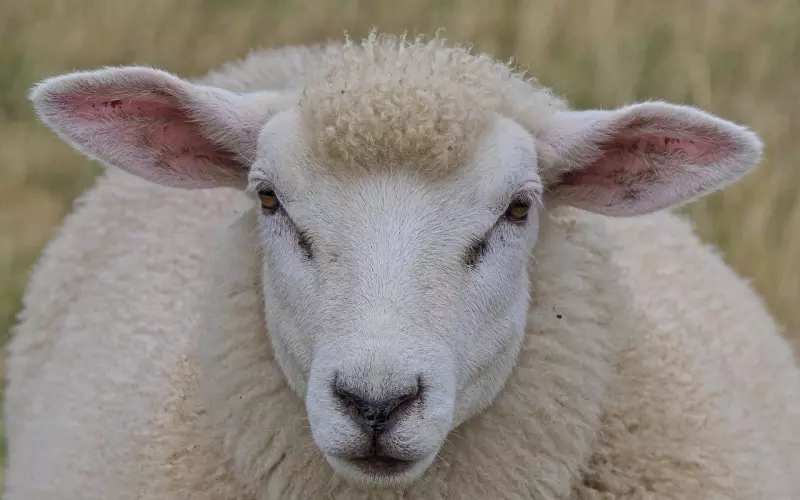 如何挽回婚姻，想要挽回老公的心，需使用正确的方法