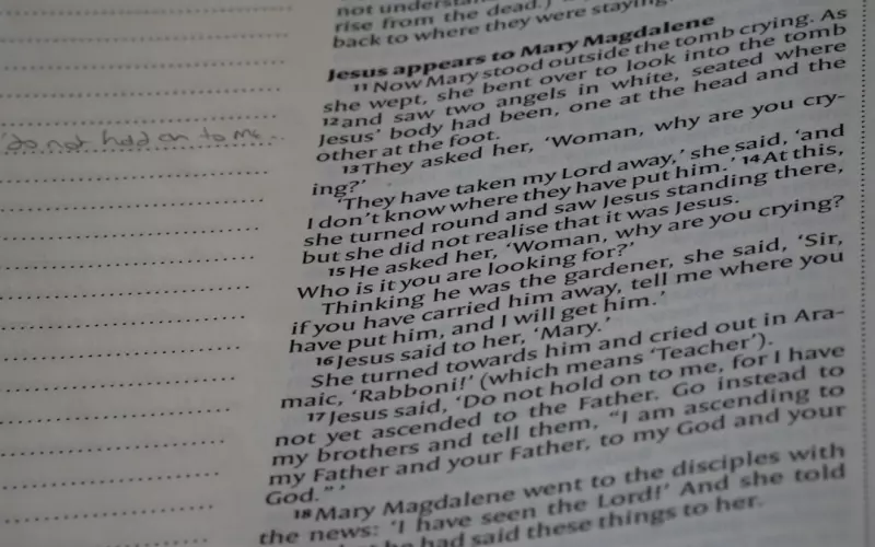 夫妻吵架怎么才能挽回婚姻(夫妻感情出现问题怎么挽救媳妇)