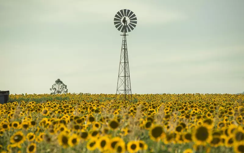 如何挽回中没有希望，没有金钱，没有爱的婚姻？