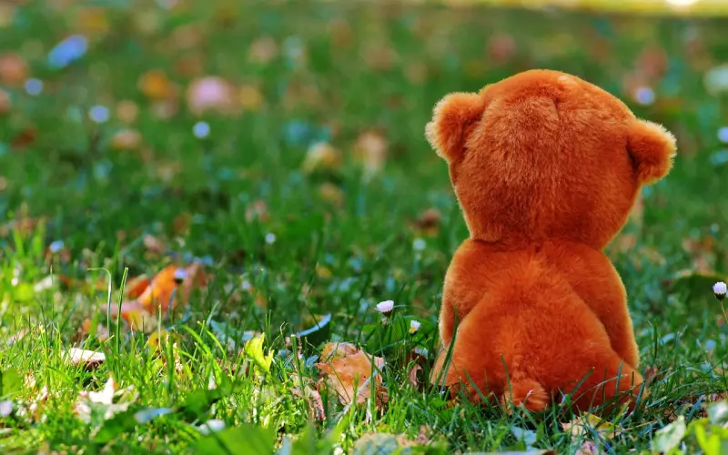 错过的姻缘如何挽回