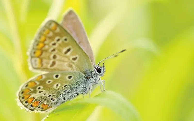 挽回感情之如何成为普通朋友？