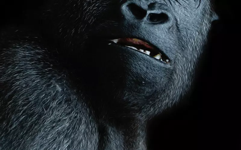 十多年的感情因不信任如何挽回