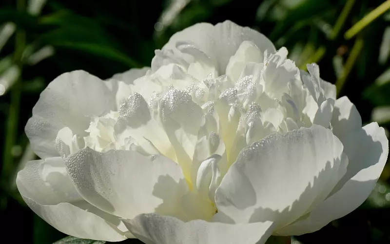 如何挽回一段已经破裂的感情？