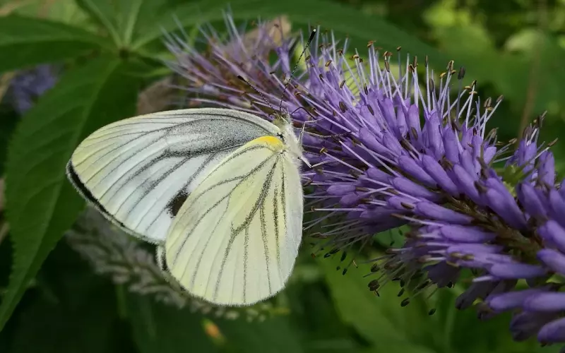 冷战一周该怎么挽回