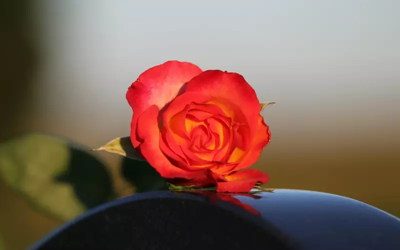 对于爱玩失踪的他，要怎样挽回？