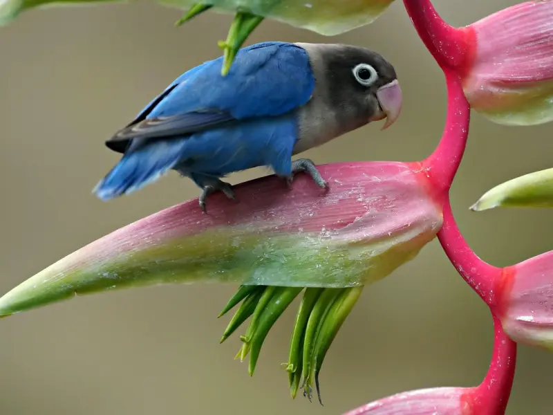 怎么挽回爱情？最有效的挽回爱情方法