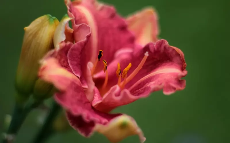 挽回爱情之怎么积累好的印象