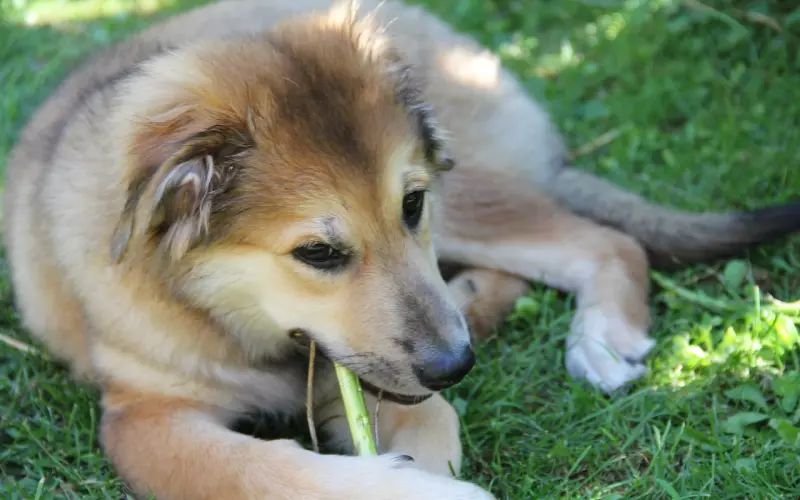 不死缠烂打要怎么挽回爱情