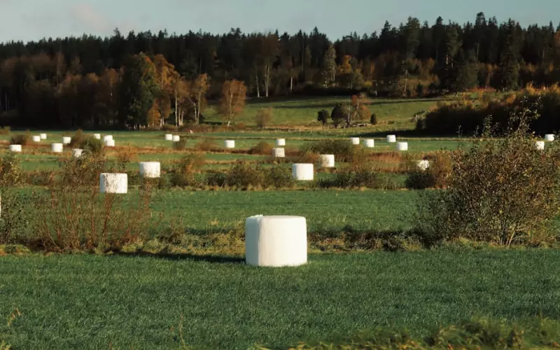 如何挽留一个爱你又要离开的人(如何挽回一个深爱自己的人)