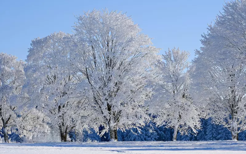 被拉黑了怎样挽回爱情