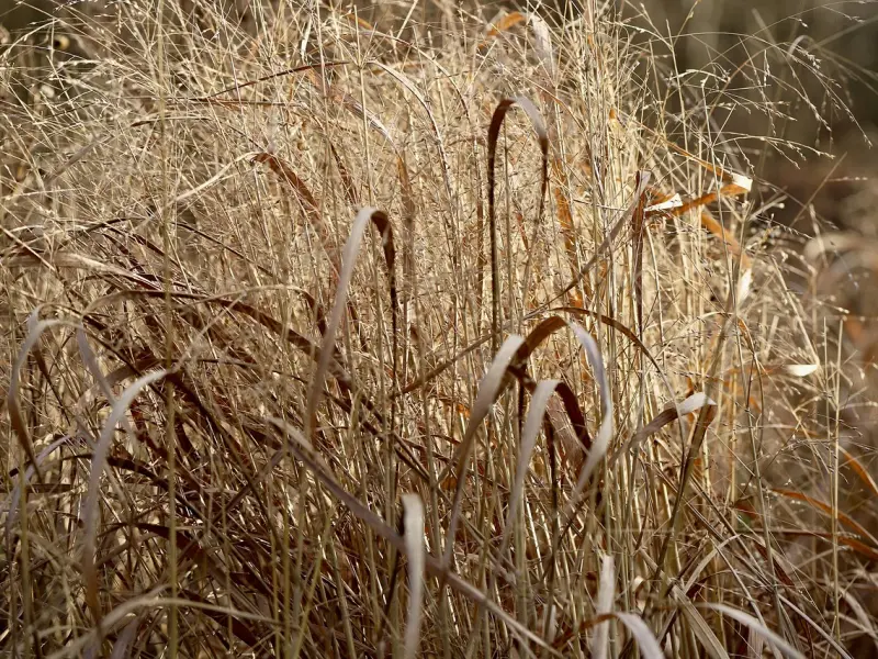怎么挽回婚姻：伤透了老公的心，该怎么挽回？
