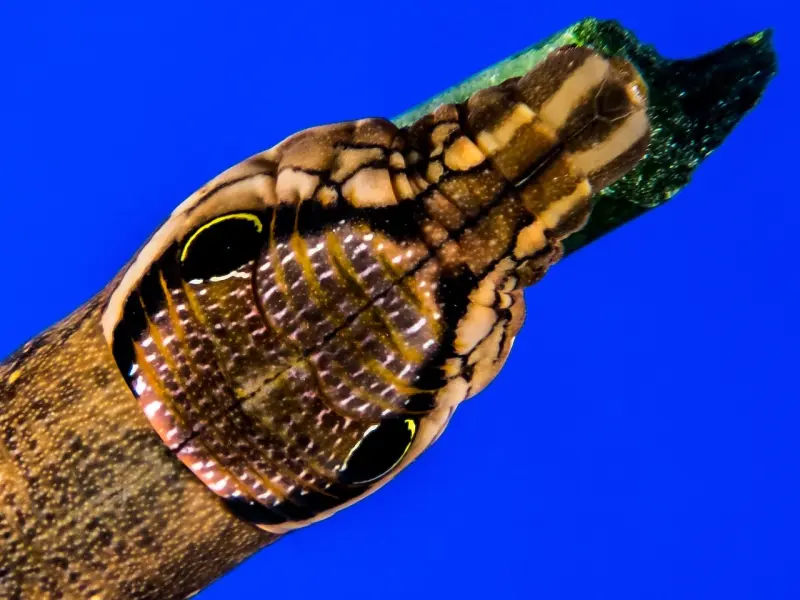 如何挽回婚姻，如何挽回要离婚的老公， 4大招教你挽回心爱的他