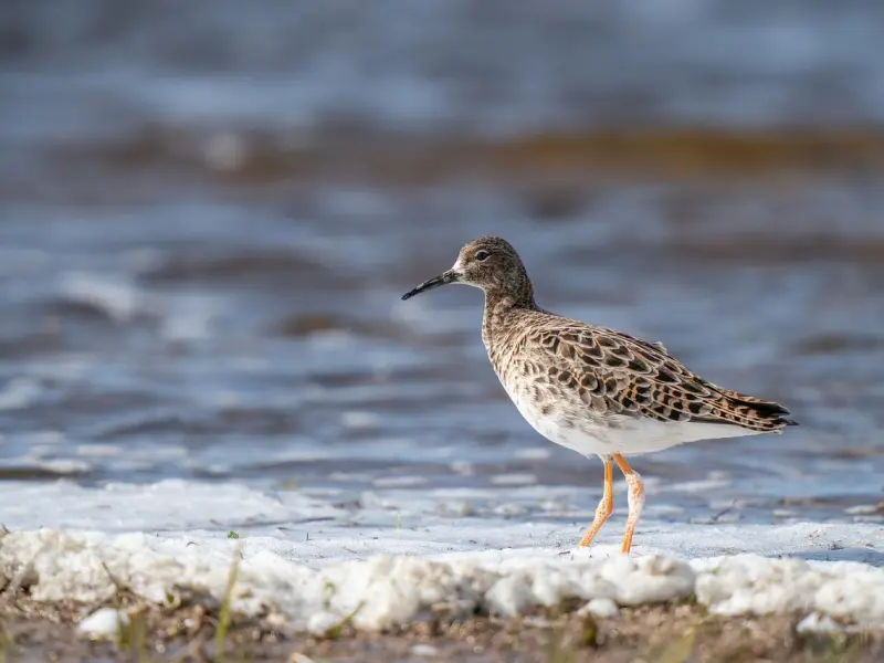 如何挽回婚姻，三招挽回婚姻方式!
