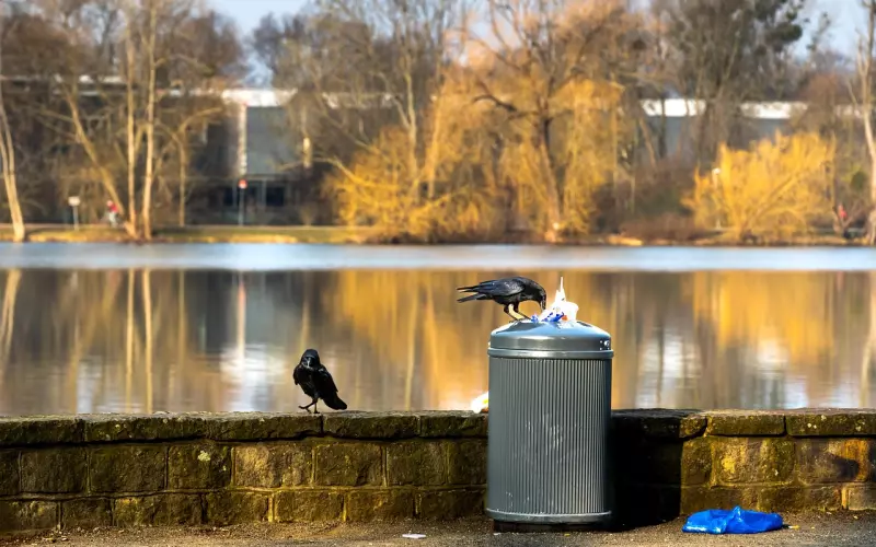 怎样挽回婚姻，发现老公外遇怎样处理？教你正确处理出轨的方法