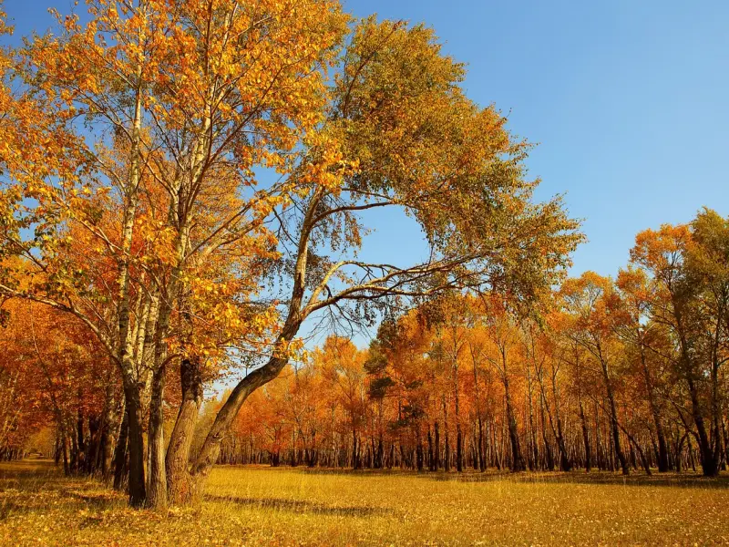 如何挽回婚姻，用正确的方法，轻松挽回婚姻