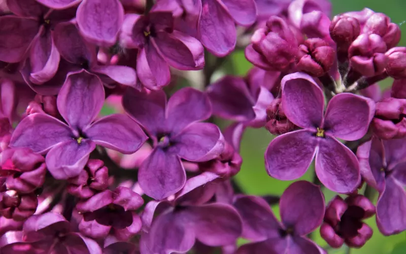 如何挽回婚姻：老公有外遇该怎么挽回？大师为你支招