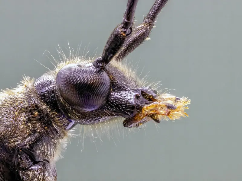 如何挽回婚姻：当发现老公出轨