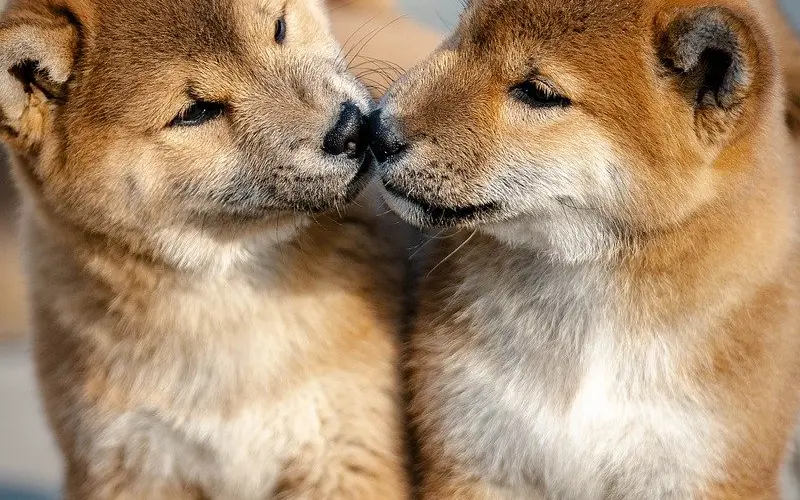 如何挽回婚姻，三个小技巧帮助你挽回老公的心