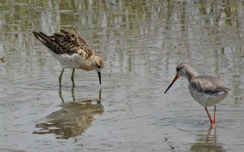 分居后怎么挽回婚姻(分居以后如何挽回婚姻感情)