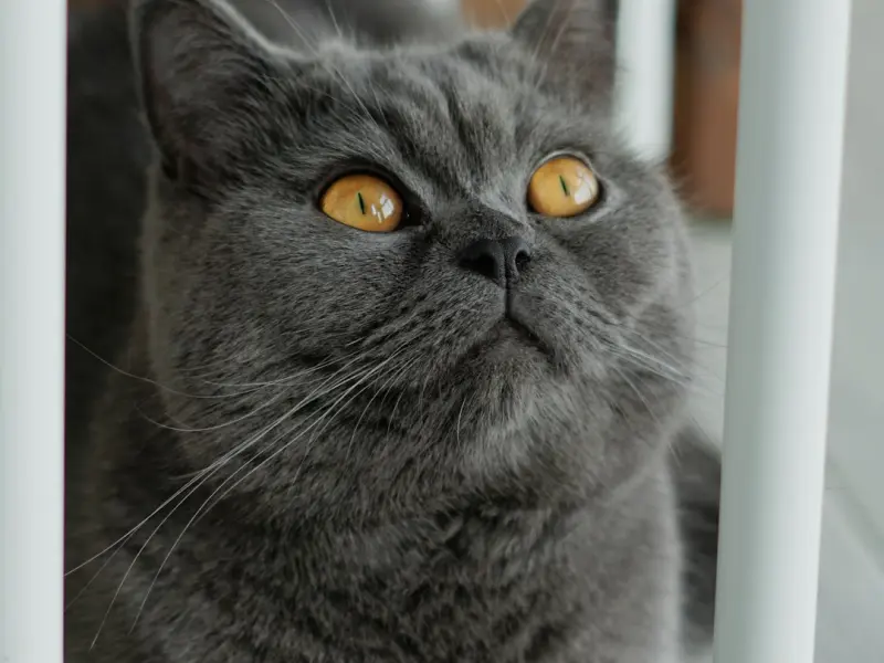 挽回感情之如何知道已经对她产生了二次吸引？