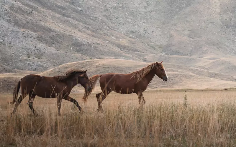挽回恋情如何分离小三儿
