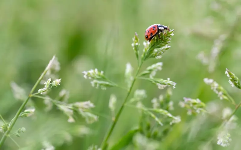 怎样挽回情感让他疯狂爱上你