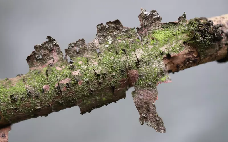 如何分离第三者，分离后男人和小三彻底断了的表现