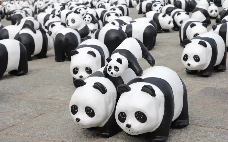 挽回女友如何展示吸引力？通过网展示三种吸引力，助你快速挽回