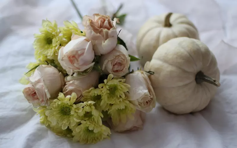 如何巧妙挽回坚决分手的女友？一招教你迎刃而解！