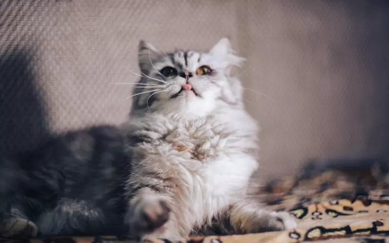 如何巧妙挽回冷漠不回家的老公，让爱再次燃起