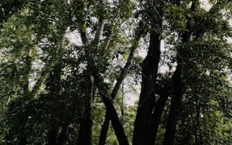 30多岁长期两地分居如何解决(男生长期分居如何解决)