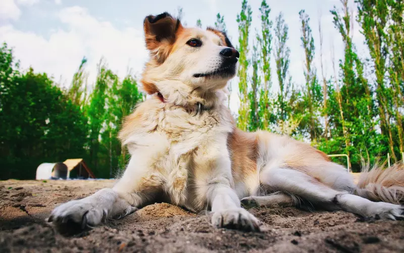 分手后如何与前男友保持朋友关系？