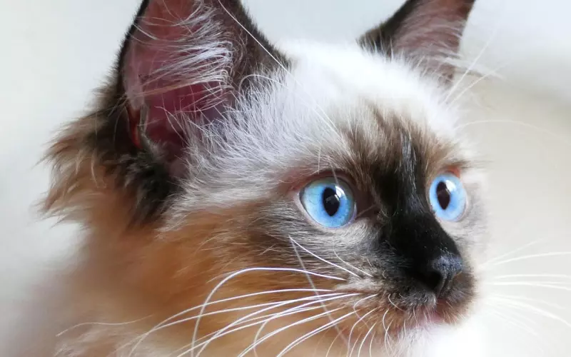 怎样戒掉对一个人的喜欢