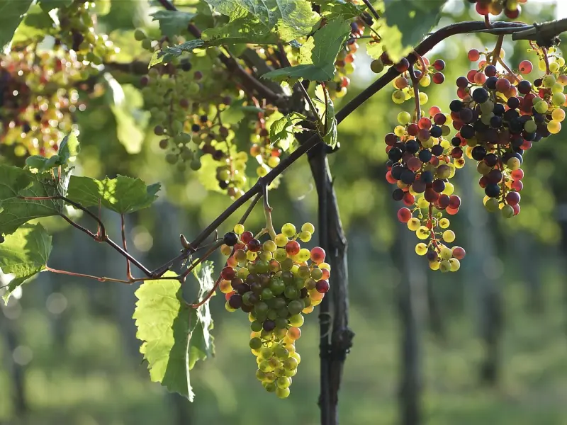 怎么成功有效挽回女友：分手后在什么情况下挽回才是最好的时机